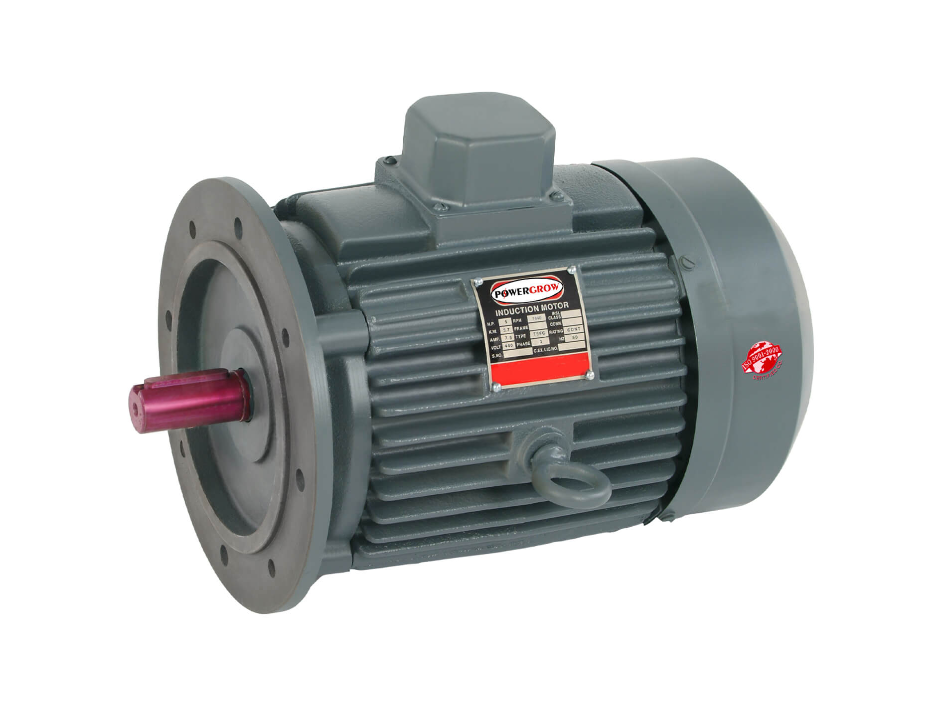 FLANGE MOTOR-powergrow